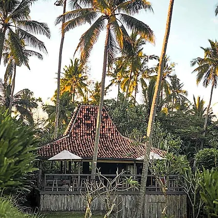 Desa Cabins