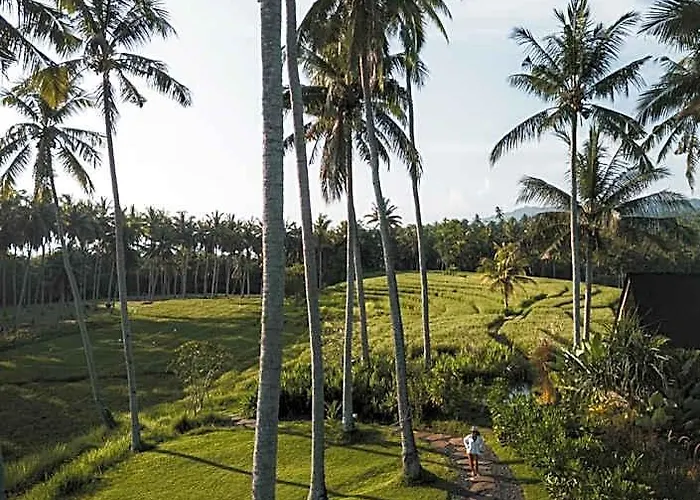 Desa * Balian